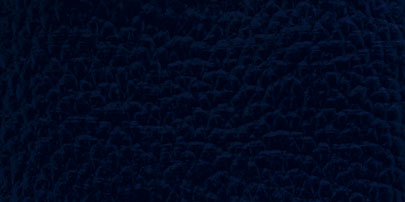 Primary Blue - Bleu