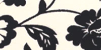 noname