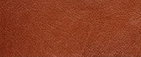 Light Brown - Hellbraun