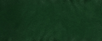 Kelly Green - Leuchtendes Gelbgruen