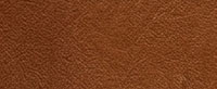 Walnut - Nussbaum