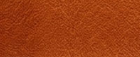 Texas Tan