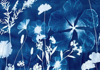 Cyanotypie: weiße Blüten, Gräser und Blätter als Sonnendruck auf blauem Stoff